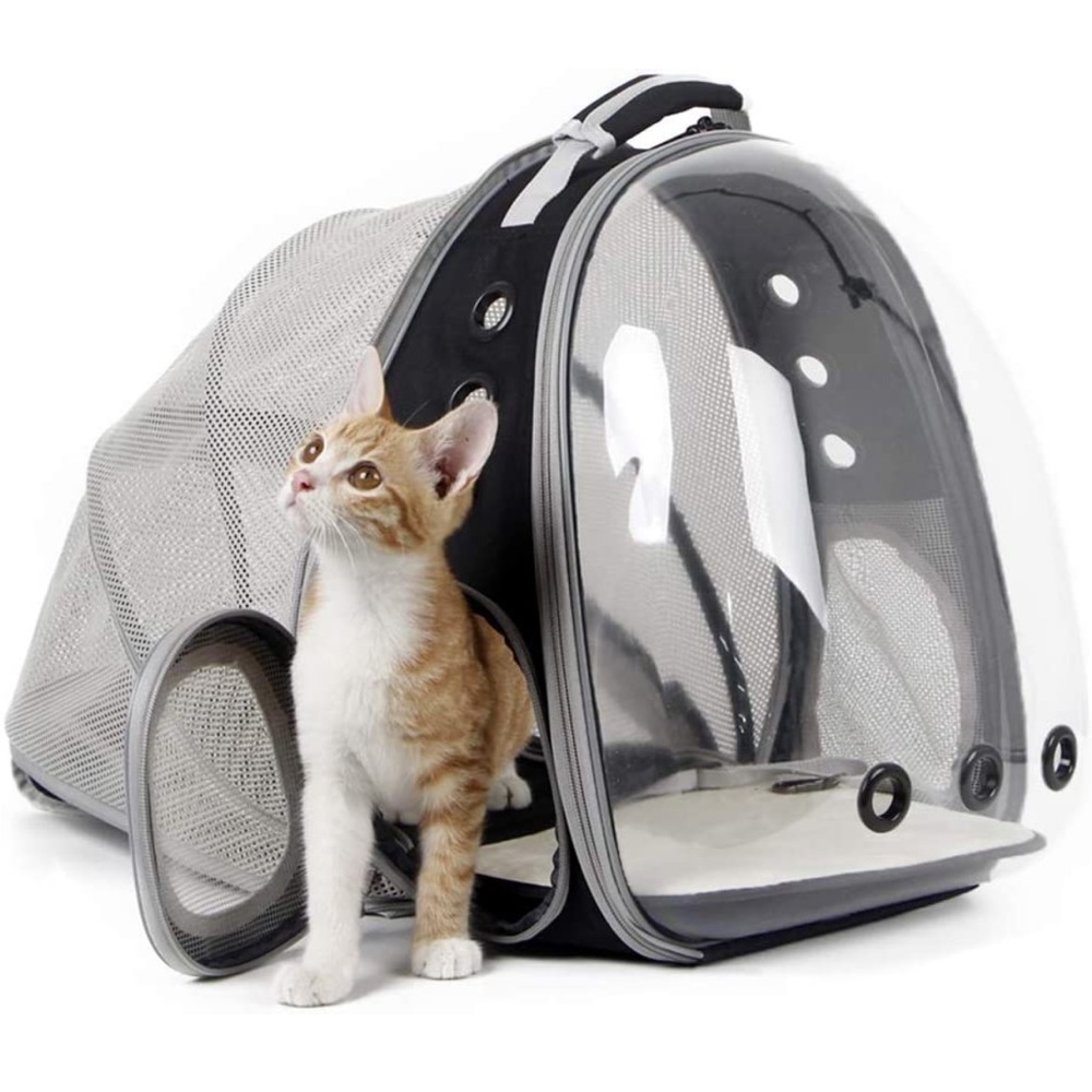 cat bubble backpack!